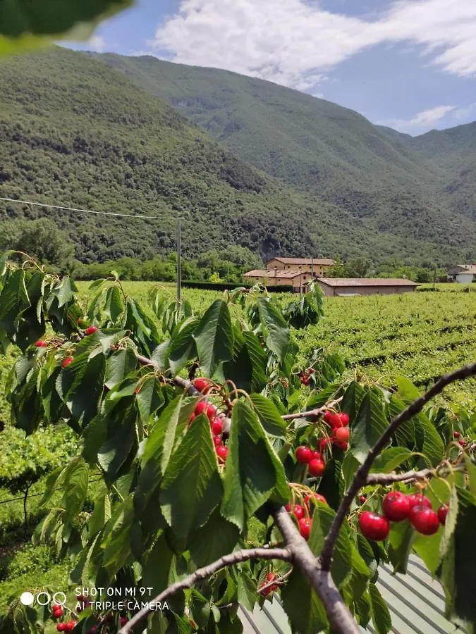 Alloggio per agriturismo Agriturismo Revena Brentino Belluno